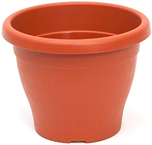 PAMEX Maceta Mediterranea (20cm)