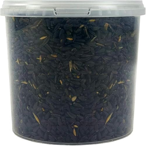 SQUAWK Graines de Tournesol Noir - Nourriture pour Oiseaux Sauvages Riches en Huile pour Jardin (5L)