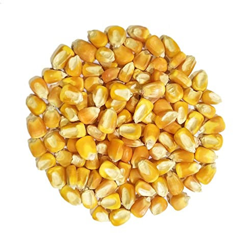 Maíz Entero para Aves Sunseed 2,5Kg