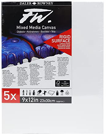Daler-Rowney FW Leinwandbild, 22,9 x 30,5 cm, mittlere Körnung, 10 mm tief, 5 Stück, ideal für professionelle Künstler