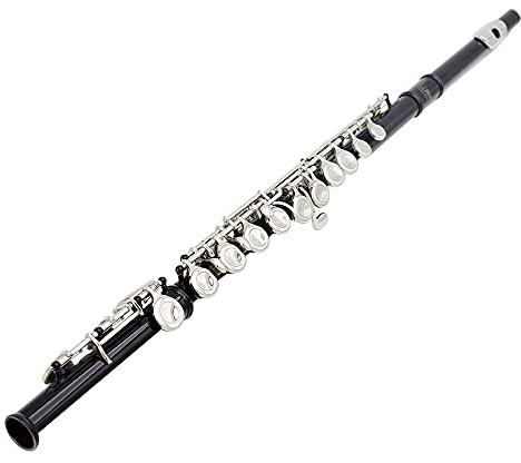 Sasuori Querflöte, 16 Löcher, C-Schlüssel, Westernkonzert, Cupronickel, vernickelt, Holzblasinstrument mit Reinigungstuch, Stange, Handschuhe, Schraubendreher, gepolsterte Tasche