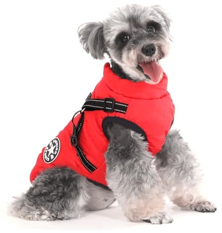 Aywoja Warme Hundemantel Winter, Hundemantel mit Geschirr, Hundemantel für Kleine Hunde Hundemantel Wasserdicht Maschinen Waschbarer Reflektierender Streifen Design Haltbarer D-Ring