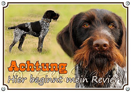 Petsigns Hundeschild - Deutsch Drahthaar - TOP TIPP - Metallschild rostfrei und uv-beständig, DIN A4