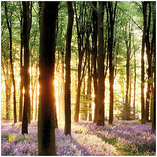 Wallario Glasbild Blaue Hasenglöckchen im Wald mit Sonnenstrahlen - 30 x 30 cm Wandbilder Glas in Premium-Qualität: Brillante Farben, freischwebende Optik