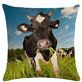 HCHES Kissenbezug 45x45cm Kuh Dekorative Kissenhülle Doppelseitig Bedruckt Quadratisch Kissenbezüge,Zierkissenbezüge Baumwolle Leinen mit Unsichtbarem Reißverschluss für Zimmer Couch Sofa Deko