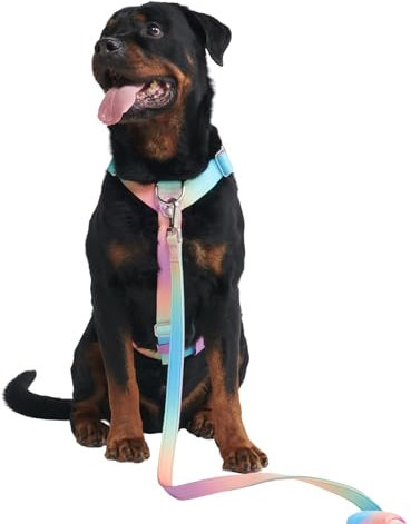 Spark Paws No Pull Hundegeschirr Grosse Hunde, Halterdesign mit Frontclip, Y Geschirr Hund, Robust und Strapazierfähig Harness für Große und Starke Rassen - Pastel Icing, L