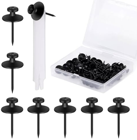 Rayakt 50 Pcs Double-Headed Picture Hangers Nails, Zinc Alloy Push Pins, Decorative Black Picture Hooks, Wall Nails for Hanging Photos and Wall Decor, Picture Hanging Nail for Home Office