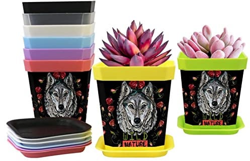 Lot de 8 pots de fleurs en plastique de 7,6 cm, petits pots légers avec plateaux, conteneurs d'intérieur pour plantes succulentes - Broderie loup sauvage