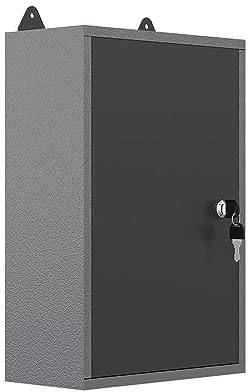 JZD Armoire de rangement murale en acier pour garage, armoire à outils à suspendre, noir et gris