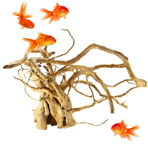 YRTUOP Branches De Bois Flotté Naturel, Racines d'arbre en Bois Massif pour Reptiles Décoration De Terrarium Décoration D'aquarium Accessoires pour Petits Poissons