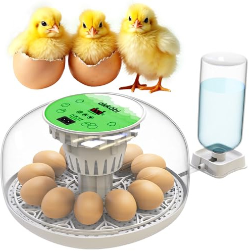 Incubadora M12 para 12 o 24 Huevos Gallina, Control de Humedad y Giro | Vista Transparente 360 Grados, Bandeja Extraíble, Rellenado Lateral sin Abrir la Tapa, Blanco y Verde