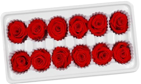 FIXOSHEE 12 Rose Stabilizzate Rosse Confezionate per Decorazioni Battesimo, Feste e Accessori Bouquet Fai da Te