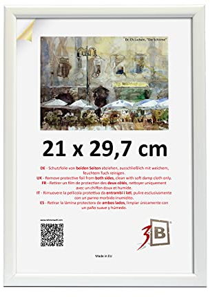 3-B Bilderrahmen ULM 21x29,7 cm (A4) - weiß - Holzrahmen, Fotorahmen, Portraitrahmen mit Acrylglas
