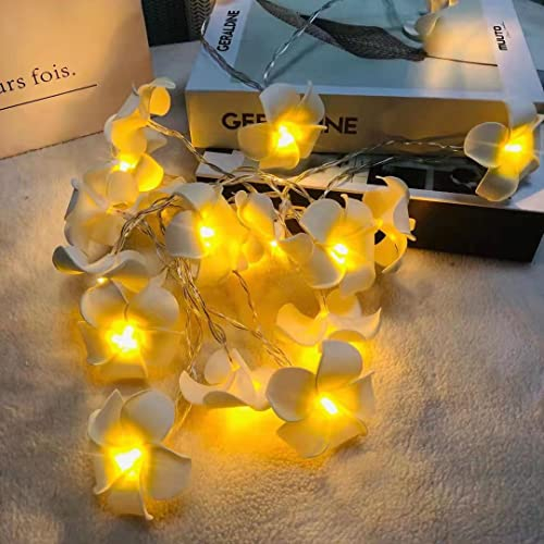 Riaxuebiy Plumeria Künstliche Lichterkette Frangipani Künstliche Blumen LED Fee Lichterketten Batterie für Strand Party Geburtstag Vorschlag Hochzeit Dekor (3 m/20 LEDs, Gelb)