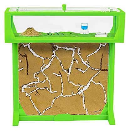 Anthouse - Natürliche Ameisenfarm aus Sand | T 3D Set Big 25x20x1,5 cm Grün | Inklusive Ameisen
