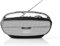 Retro Bluetooth FM Radio | Hands Free Conference Speaker + Microphone for Calls | 7 Hours Playback | 60w Peak Power Output