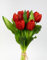 Tulpenbund Nature Real Touch 32x24cm mit 7 Blüten LM Kunstblumen künstliche Blumen Tulpen Latex (Rot)