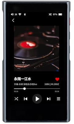 xDuoo X5 MP3 Player HIFI Portable Music Player with Bluetooth 4.2, Lossless DSD256 Player, Digital Audio Player Supports up to 1TB TF/Micro SD card