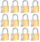 12 Pack Solid Brass Same Keyed Padlock, Keyed Alike Padlock Waterproof and Rustproof Lock with 1-1/4 Wide Body, Padlocks with Keys for Toolbox, Luggage, School lockers, Backpacks, Garages and Fence