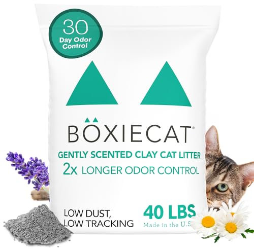 Boxiecat Gently Scented Premium Clumping Clay Cat Litter, 40-Pounds