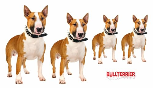 AdriLeo - Aufkleber 4er-Set - Bullterrier – hellbraun/weiß Deko Autoaufkleber Sticker Hund