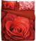 Bassetti Parure copripiumino MATRIMONIALE Extra 250x200+40 e due federe 50x80 Escluso lenzuolo sotto (EX140 Rosa)