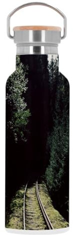 Borraccia in acciaio inox termica termica – Voie Ferre a Travers La Foret de Pin Train, 500 ml (17 once)