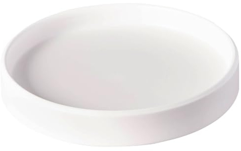 Soucoupe pour plantes de 6, 2 pouces, plateau collecteur d'eau pour plantes, soucoupes en céramique robustes pour l'intérieur, plateaux d'égouttage pour pots de fleurs, bols bain 'oiseaux M, pla