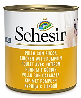 Schesir Dog Huhn mit Kürbis, Hundefutter nass, 16 Dosen x 285 g