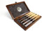 Narex Richter Bevel Edge Chisel Set of 5