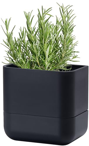 Phoenix Vine 6.5 Inch Wall Mounted Hanging Self Watering Planter Pot, Small Flower Succulents Herbs Plant Container, Black, Set of 1, 01-WP-B-1