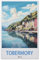 Jigsaw Puzzle 1000 Pieces for Adults，Tobermory Mull Vintage Travel Poster，Teens Boys Girls Puzzles Difficult Thick Sturdy Pieces Challenging Puzzle for Party Games（38x26cm）-E51