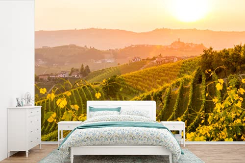 Selbstklebend Tapete Wandpapier Wandaufkleber Fototapete Tapeten Wanddeko 600x400 cm Italien - Weinberg - Sonne