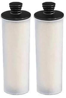 Descaling Filter Rod，Compatible For Karcher，SC 2U SC2UP SC3 SC3U SC3UP Upright Premium Series Steam Cleaner Parts Accessories Hepa Filter(2pcs)