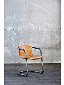 KAWOLA Esszimmer Stuhl Echtleder Stuhl Echtleder Filly Armlehnenstuhl Esszimmer, Esszimmermöbel Stühle, Moderne Stühle Esszimmer, Schreibtisch Stuhl, Schminktisch Stuhl Schminkstuhl mit Armlehne