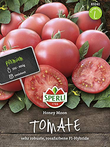 Sperli 83241 Stabtomate Honey Moon F1-Hybride (Tomatensamen)