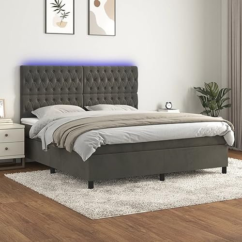 Willood Boxspringbett mit Matratze & LED Dunkelgrau 180x200 cm Samt Knopfheftung Design