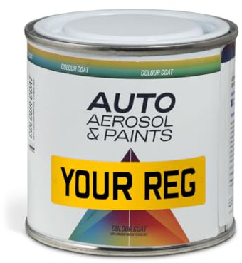 Auto Aerosol – 250ml Paint Tin Touch Up Kit Mixed by Reg Registration Plate – Car Touch Up Paint for All Models - Exact Match Guarantee