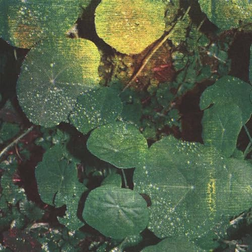 Capitane Records / Indigo