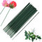 QEEROYO 100 Piezas Herramienta Florales, Alambre Verde para Floristas, 25cm Alambre de Tallo Floral, WirepPara Flores, Alambre Floral Wire, Floristas Alambre de Tallo Floral, Floral Verde Stem