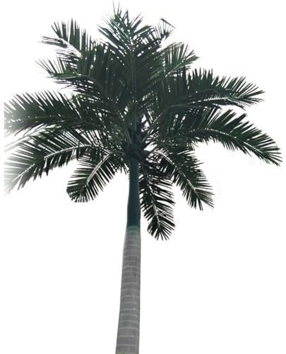 YuanSpring Arbre Artificiel décoratif Modèle de cocotier, Simulation de Palmier, Paysage Tropical, Faux Arbre en Pot, Grande décoration intérieure et extérieure(10m)