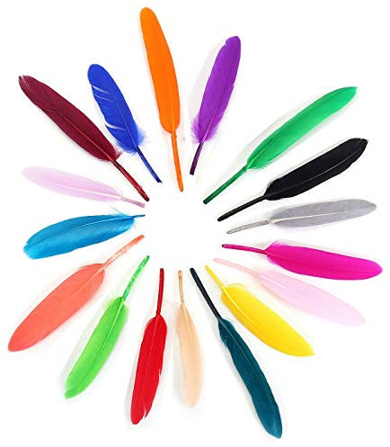 Luxeriöse Gänsefeder & Schreibfeder.Eleganter Gans Feder Federkiel in Höchser Qualität, Getrimmt,Handwerk,Hutmacherei,10 Stücke oder 18 Farben sortierte Packungen,Neotrims