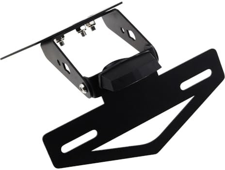 QCHIAN Kennzeichenhalter Kennzeichenhalter Für Aprilia Für GPR125 Für GPR150 RS4 125 RS4 50 Tail Tidy Fender Eliminator Kennzeichenbeleuchtung Lizenz Halterung Plate