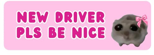 New driver please be nice 13x5cm - Auto Aufkleber mit Spruch | Wasserfeste Vinyl Aufkleber | Lustiger Aufkleber für Autos, LKWs, Vans, SUVs, Wände, Fenster, Laptops und Notizbücher