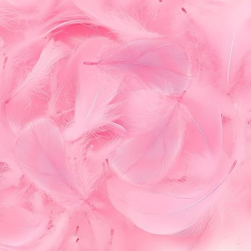Mbsomnus 600 Pièces Plumes Rose Plumes Loisirs Creatifs 5-12 cm pour DIY Arts Crafts Costumes Chapeaux Boucles d'oreilles Attrape-Rêves Festival Anniversaire Mariage Décoration