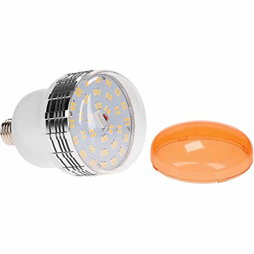 Westcott Daylight LED Lamp With Tungsten Cover 367