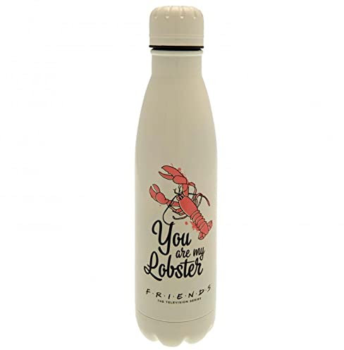 FRIENDS MDB25499 Trinkflasche aus Stahl, 500 ml, Mon Homard Erwachsene, Unisex, mehrfarbig, 500 ml