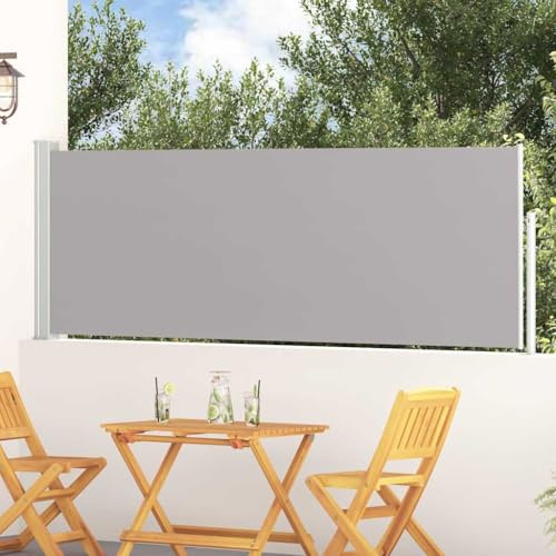 Holamys Store latéral extensible 100 x 300 cm, gris, résistant aux UV, polyester indéchirable, fer revêtu par pulvérisation, pour terrasse, balcon, jardin, brise-vue, coupe-vent
