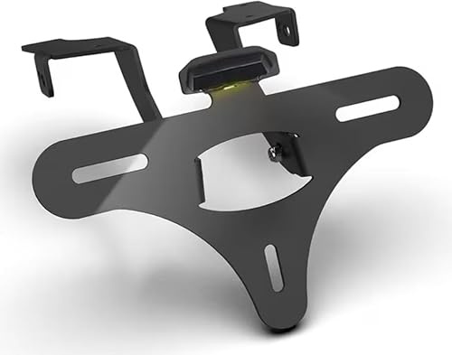 Kennzeichenhalter Kennzeichenträger für CF Moto 450 MT mit Licht NEU