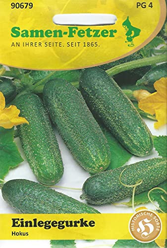 Einlegegurke Hokus (Gurkensamen)